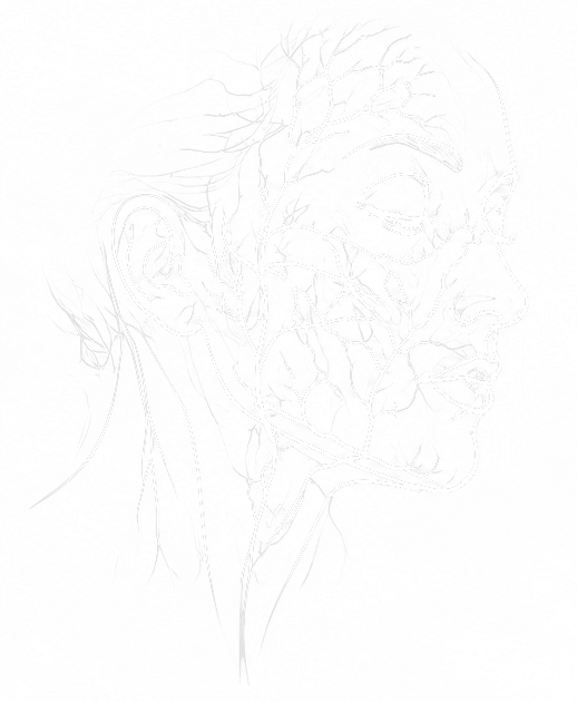 Practitioner Line Art Illustration